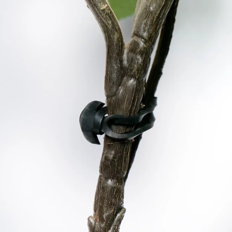 EPDM-Gummiband mit Anker zum Anbinden im Weinberg