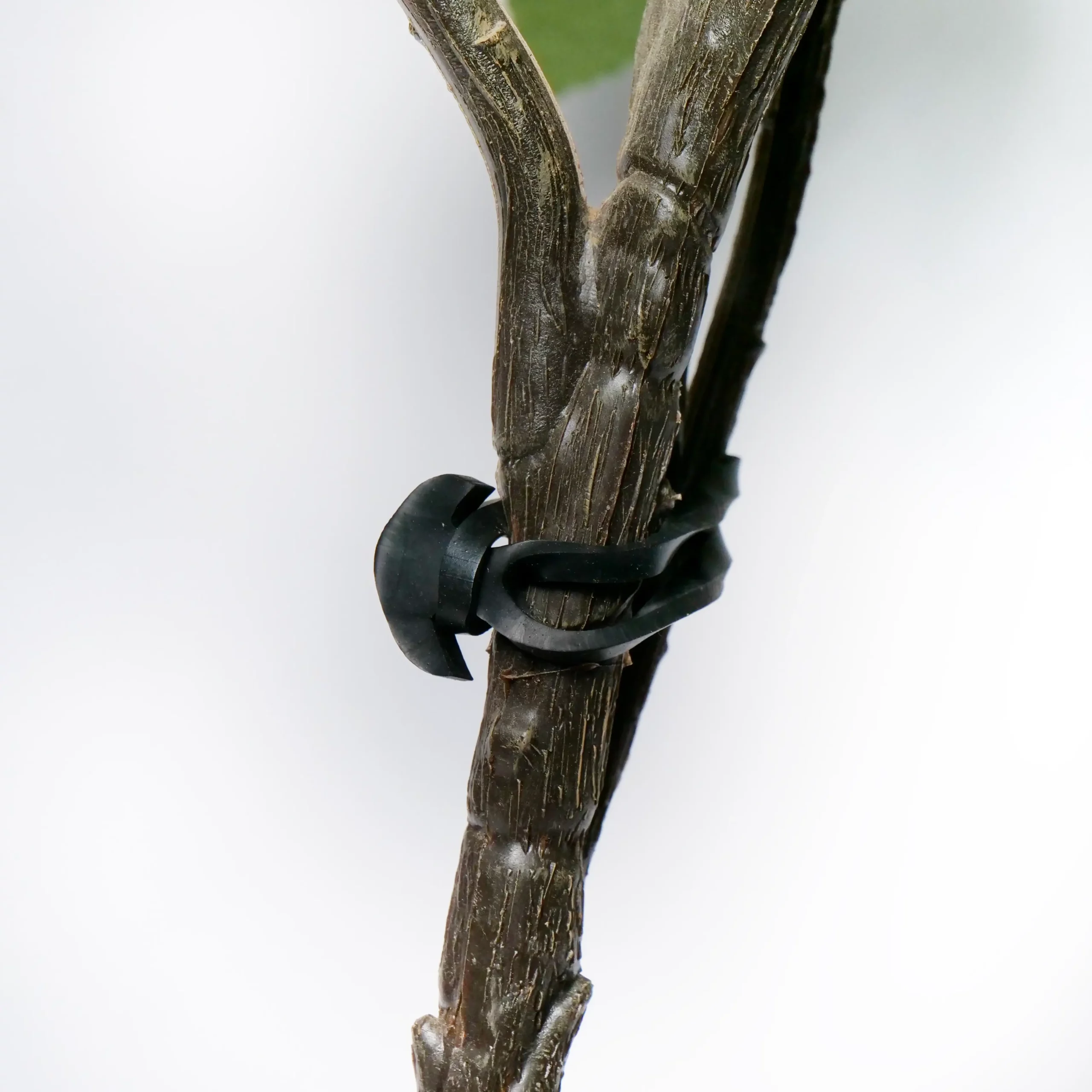 EPDM-Gummiband mit Anker zum Anbinden im Weinberg