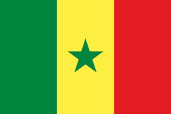 sn flag 1
